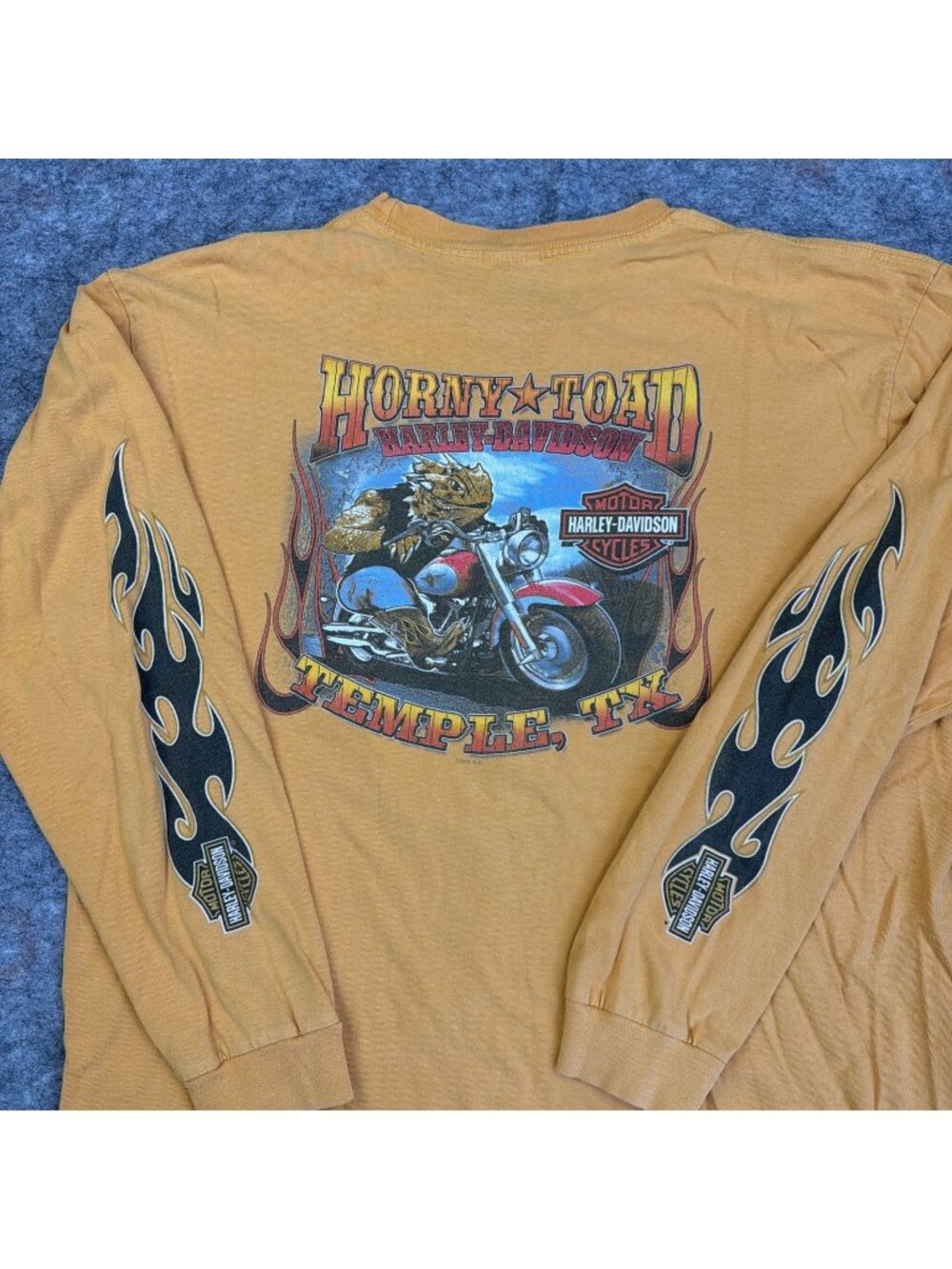 VTG Horny Toad Harley Davidson Temple TX Long Sleeve T-shirt Pocket 2XL
